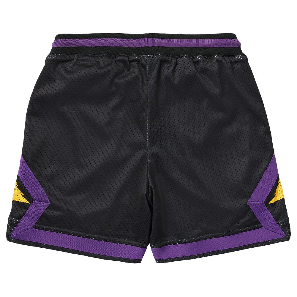 Lrg RESOLUTIONARY LIFTED MESH SHORTS