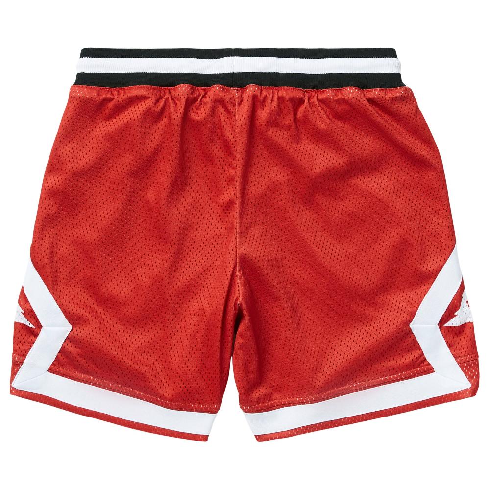 Lrg RESOLUTIONARY LIFTED MESH SHORTS