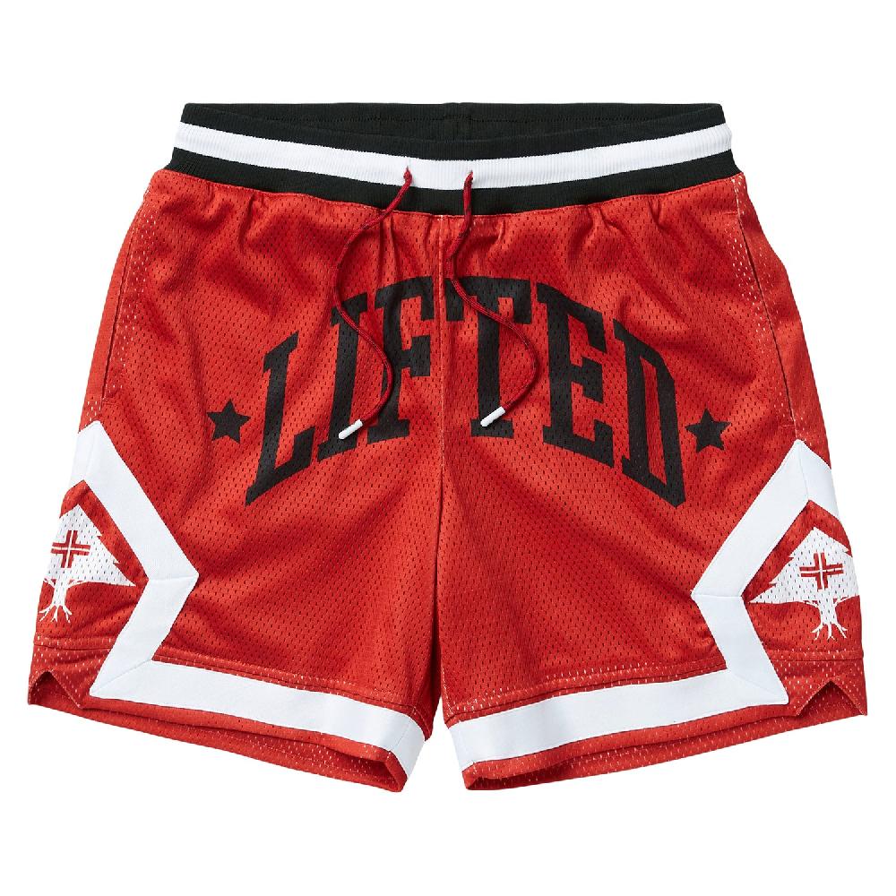 lrg RESOLUTIONARY LIFTED MESH SHORTS