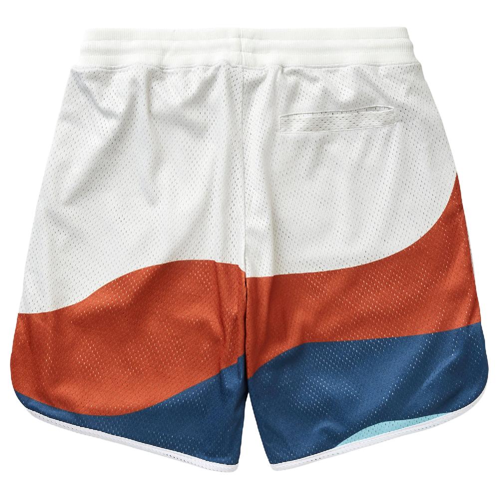 Lrg TECHNICOLOR HYBRID MESH SHORTS
