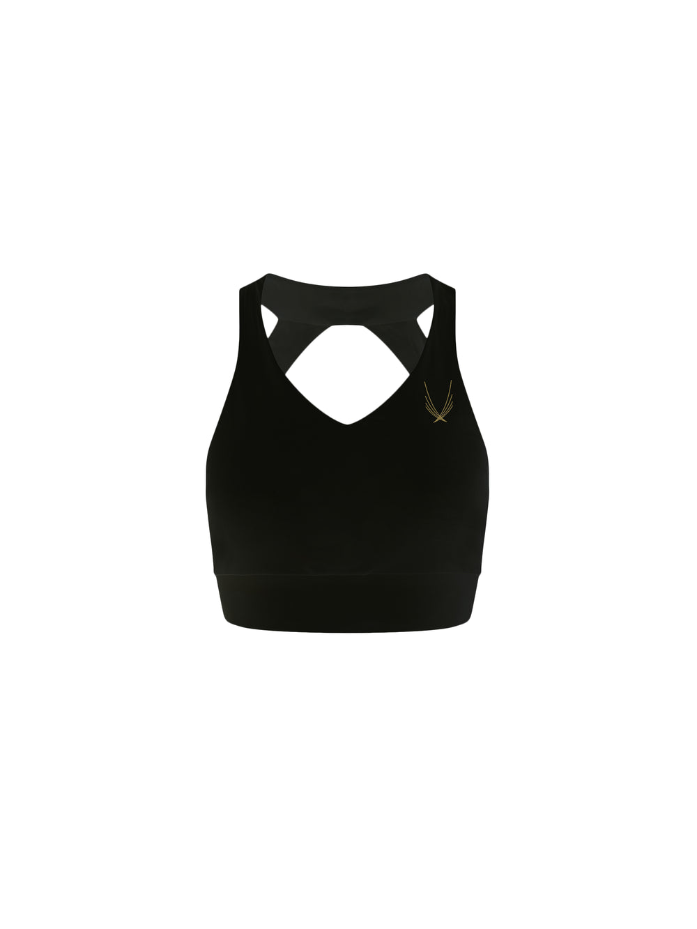 Lucas Hugh Dynamo Sports Bra Black