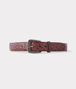 lucchese bootmake Full Quill Ostrich Belt - Sienna