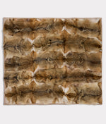 Lucchese Bootmake Royale Blanket