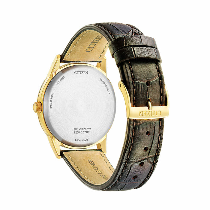 Lucky One Citizen Classic Eco-Drive Watch AW0102-13A