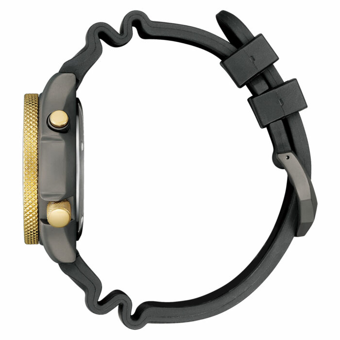 Lucky One Citizen Promaster Aqualand 40th Anniversary JP2008-06E