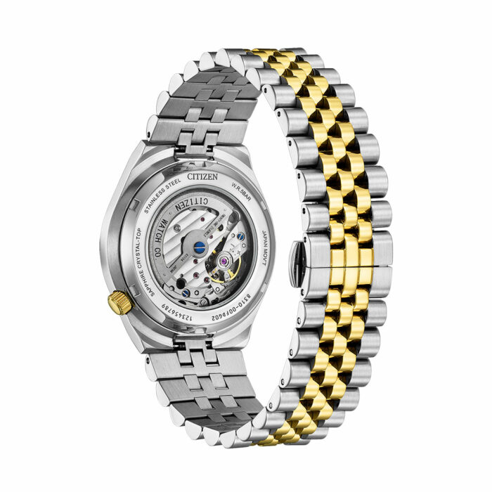 Lucky One Citizen Tsuyosa 60 Two Tone Watch NK0024-54X