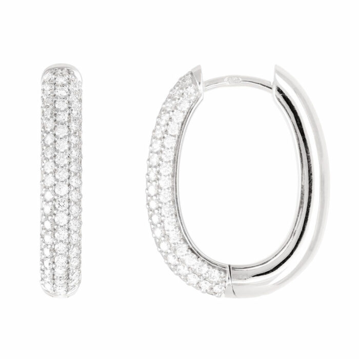 lucky one Visa for love Earrings