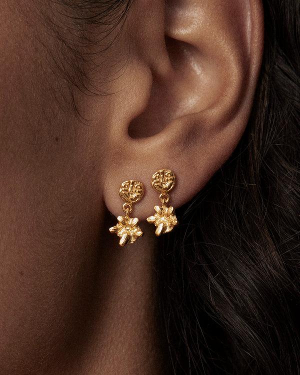 lucy folk Sungazer Studs