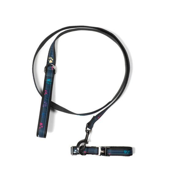 Lug Fetch Pet Collar And Leash Set