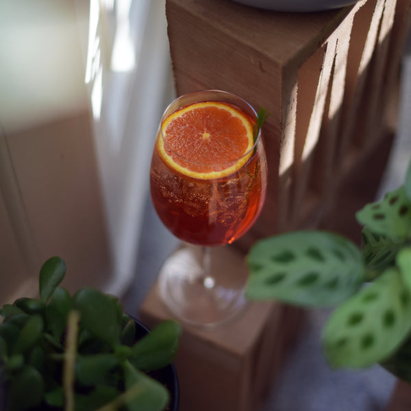 Luigi Bormioli Aero 20oz Grand Vini Red Wine Glasses (Set Of 6)