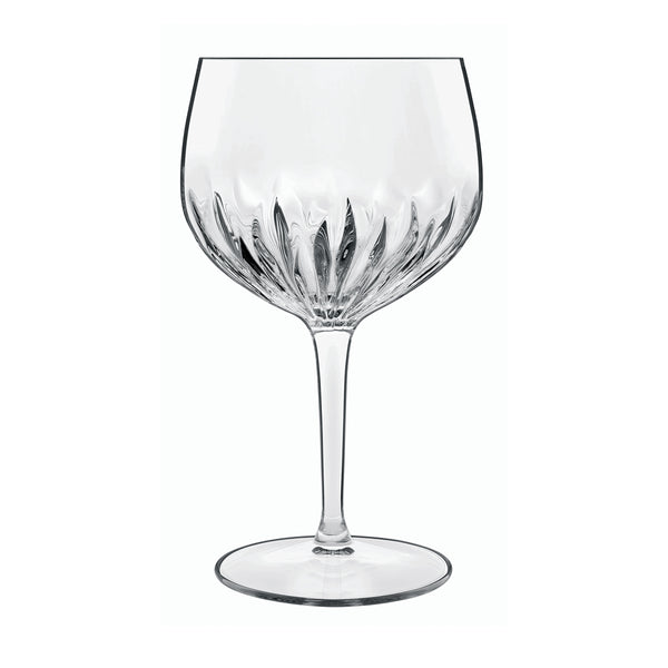 luigi bormioli Gin & Tonic 27oz American Gin Glasses (Set of 2)