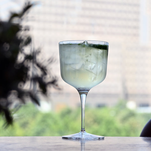 Luigi Bormioli Bach 20.25oz Gin Glass (Set Of 4)