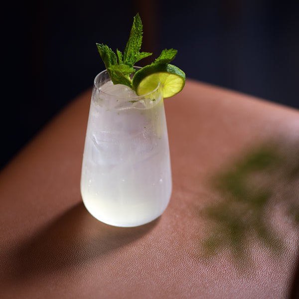 Luigi Bormioli Optica 19.25oz Stemless Drinking Glasses (Set Of 4)