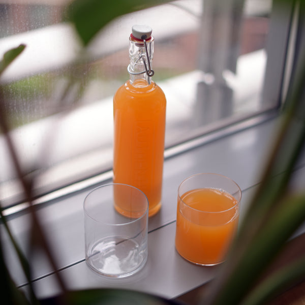 Luigi Bormioli Optima 17oz Authentica Bottle With Steel Airtight Closure (1 Piece)