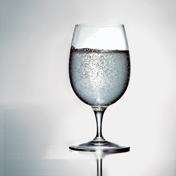 Luigi Bormioli Palace 14.25oz Water Goblet (Set Of 6)