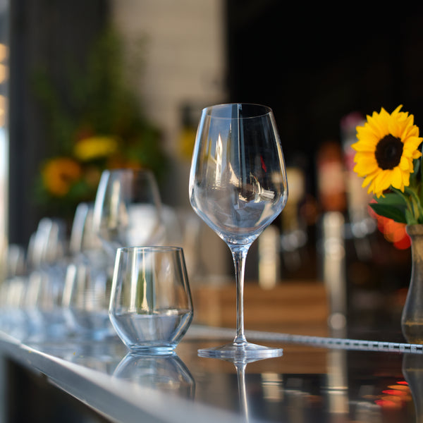 Luigi Bormioli Regency 15oz Riesling White Wine Glasses (Set Of 4)