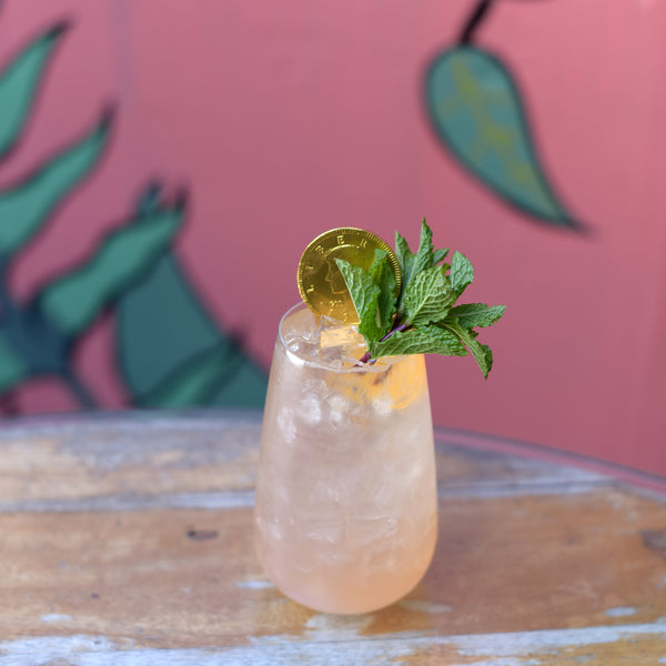 Luigi Bormioli Talismano 19.25oz Beverage Highball Glasses (Set Of 4)