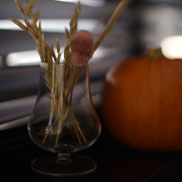 Luigi Bormioli Tentazioni 7.75oz The Tester Wine Glasses (Set Of 6)