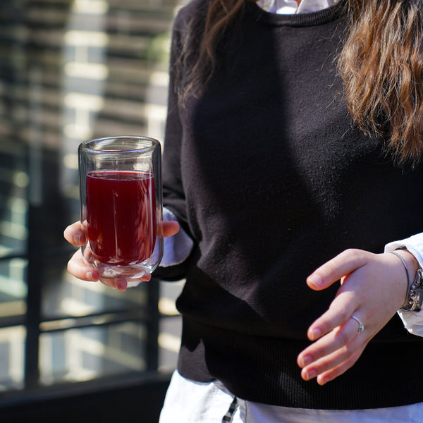 Luigi Bormioli Thermic Sublime 13.5oz Double Wall Beverage Highball Glasses (Set Of 2)