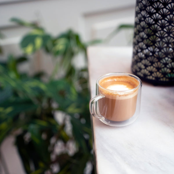 Luigi Bormioli Thermic Sublime 8oz Double Wall Cappuccino Glasses (Set Of 2)