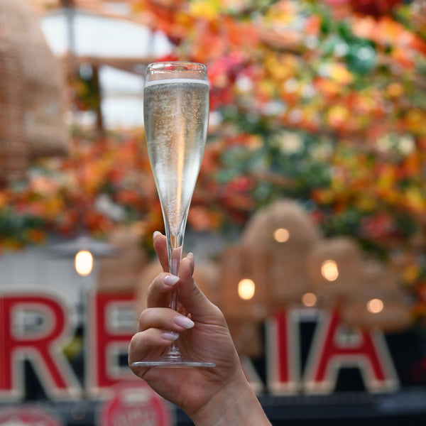 Luigi Bormioli Vinoteque 6oz Perlage Flute Glasses (Set Of 6)