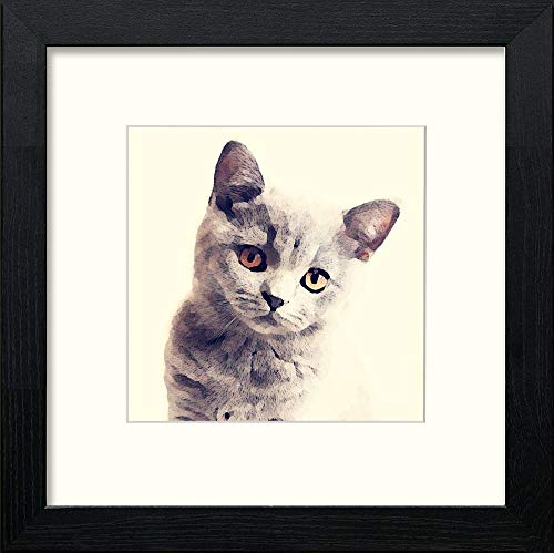 lumartos British Shorthair Cat – Black Wood Frame Wall Art – Framed Wall Art Print by Lumartos Premium Home Décor