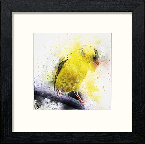 lumartos Canary – Black Wood Frame Wall Art – Framed Wall Art Print by Lumartos Premium Home Décor