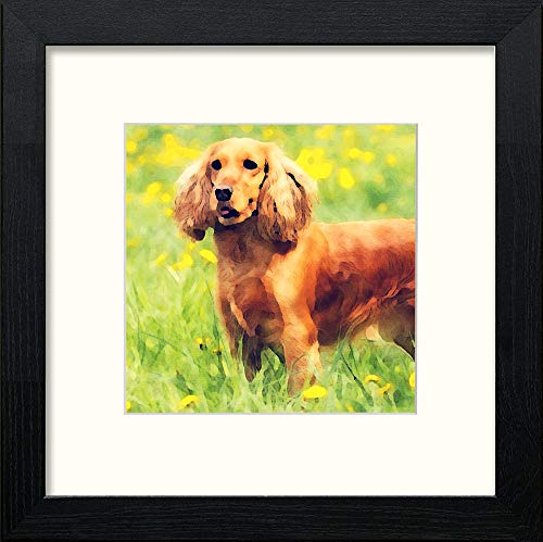 lumartos Cocker Spaniel – Black Wood Frame Wall Art – Framed Wall Art Print by Lumartos Premium Home Décor