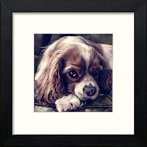 lumartos Cute Dog – Black Wood Frame Wall Art – Framed Wall Art Print by Lumartos Premium Home Décor