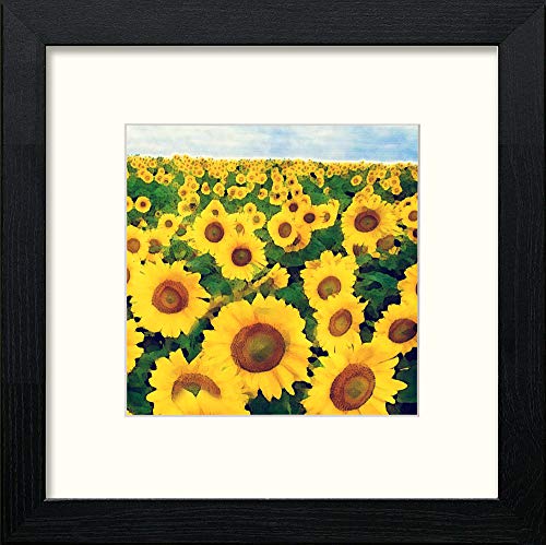 lumartos Dordoigne Sunflowers – Black Wood Frame Wall Art – Framed Wall Art Print by Lumartos Premium Home Décor