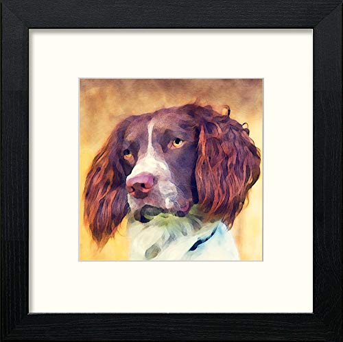 lumartos English Springer Spaniel – Black Wood Frame Wall Art – Framed Wall Art Print by Lumartos Premium Home Décor