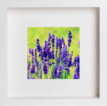 lumartos Floral Lilac Prairie Flowers 0269 – White Frame Wall Art – Framed Wall Art Print by Lumartos Premium Home Décor