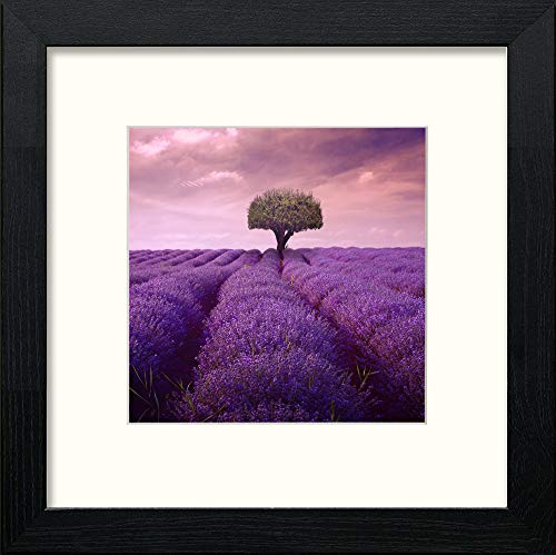lumartos Lavendar Field – Black Wood Frame Wall Art – Framed Wall Art Print by Lumartos Premium Home Décor