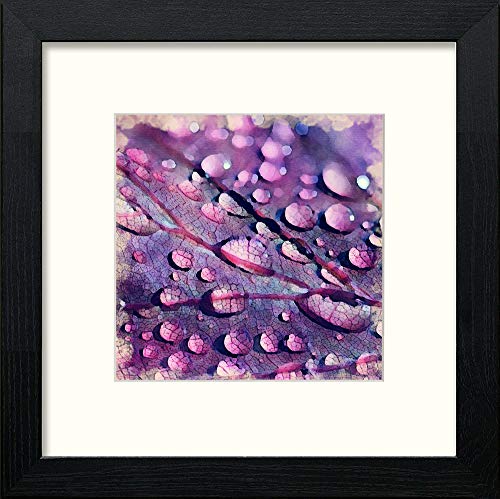 lumartos Leaf Droplets – Black Wood Frame Wall Art – Framed Wall Art Print by Lumartos Premium Home Décor