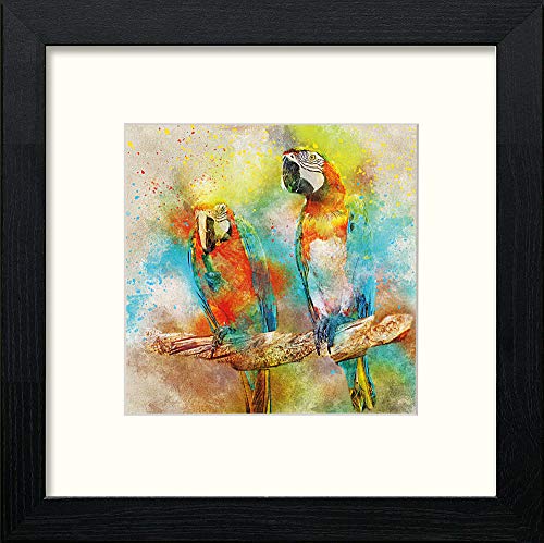 lumartos Macaw – Black Wood Frame Wall Art – Framed Wall Art Print by Lumartos Premium Home Décor