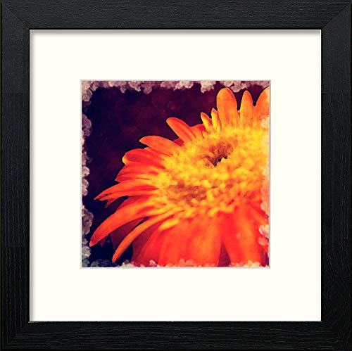 lumartos Orange Flower – Black Wood Frame Wall Art – Framed Wall Art Print by Lumartos Premium Home Décor