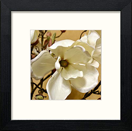 lumartos Orchids – Black Wood Frame Wall Art – Framed Wall Art Print by Lumartos Premium Home Décor