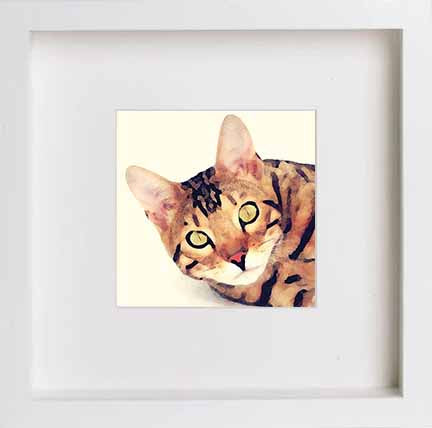 lumartos Pets Bengal Cat 0278 – White Frame Wall Art – Framed Wall Art Print by Lumartos Premium Home Décor