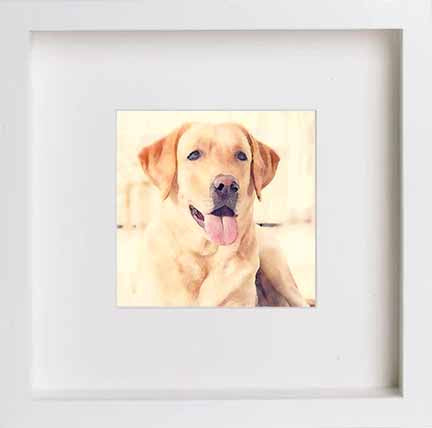lumartos Pets Labrador 0273 – White Frame Wall Art – Framed Wall Art Print by Lumartos Premium Home Décor