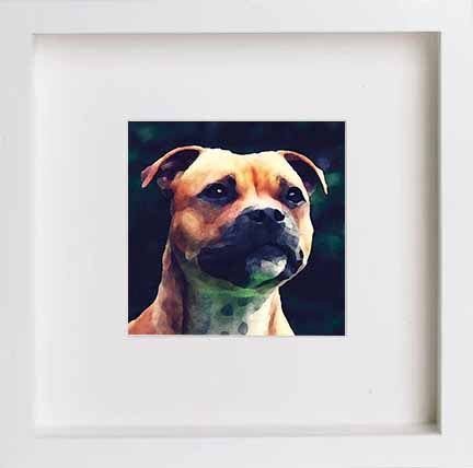 lumartos Pets Staffordshire Bullterrier 0277 – White Frame Wall Art – Framed Wall Art Print by Lumartos Premium Home Décor