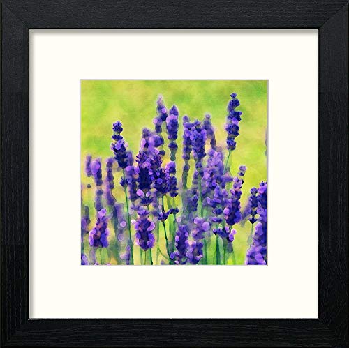 lumartos Prairie Flowers Lilac – Black Wood Frame Wall Art – Framed Wall Art Print by Lumartos Premium Home Décor