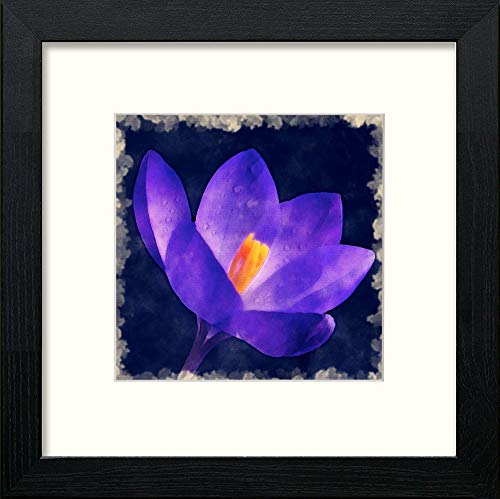 lumartos Purple Flower – Black Wood Frame Wall Art – Framed Wall Art Print by Lumartos Premium Home Décor