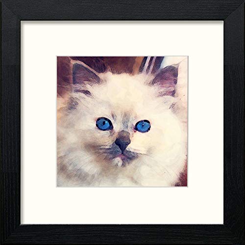 lumartos Ragdoll Cat – Black Wood Frame Wall Art – Framed Wall Art Print by Lumartos Premium Home Décor