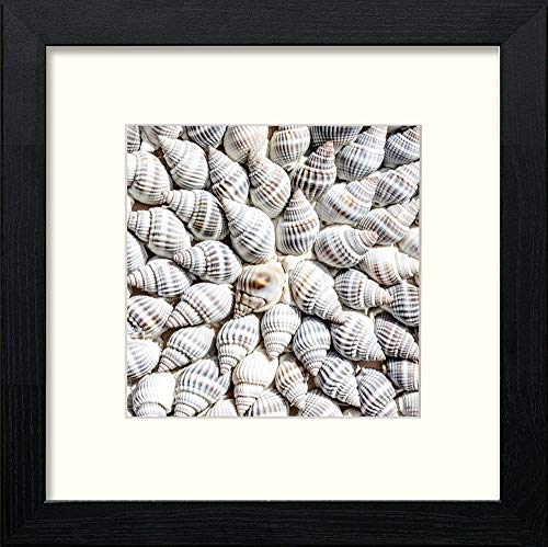 lumartos Shells – Black Wood Frame Wall Art – Framed Wall Art Print by Lumartos Premium Home Décor