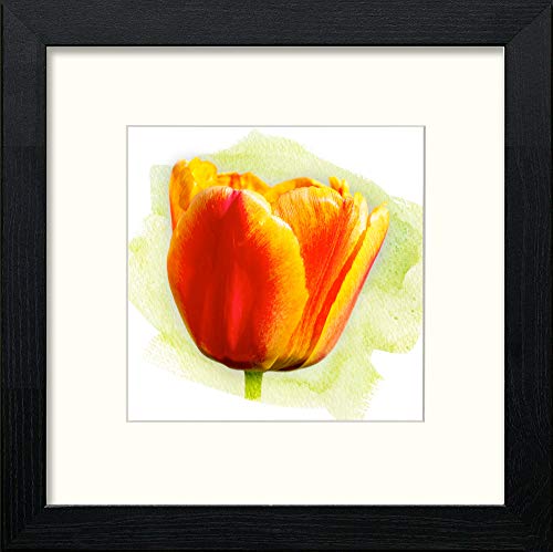lumartos Tulip – Black Wood Frame Wall Art – Framed Wall Art Print by Lumartos Premium Home Décor