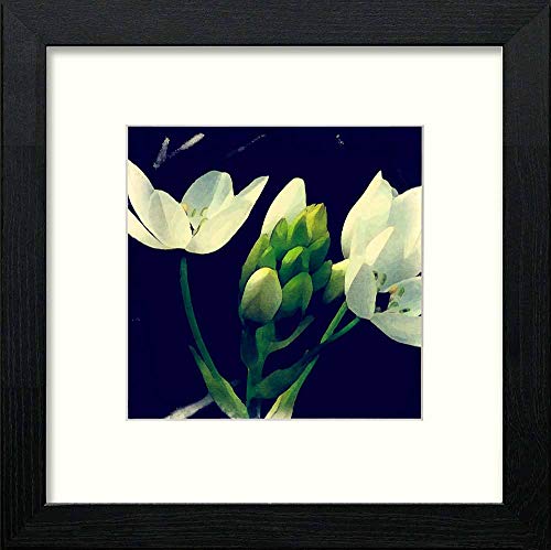 lumartos Vintage Iris – Black Wood Frame Wall Art – Framed Wall Art Print by Lumartos Premium Home Décor
