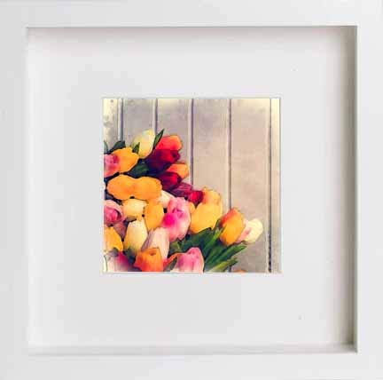 lumartos Vintage Multi Coloured Tulips – White Frame Wall Art – Framed Wall Art Print by Lumartos Premium Home Décor