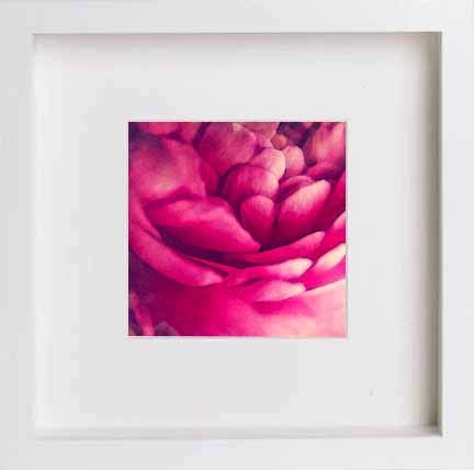 lumartos Vintage Pink Petals – White Frame Wall Art – Framed Wall Art Print by Lumartos Premium Home Décor