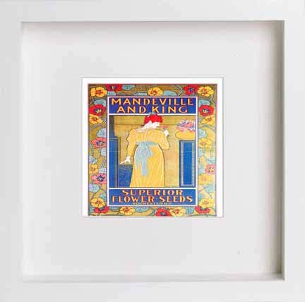 lumartos Vintage Poster Mandeville And King Superior Flower Seeds – White Fr – Framed Wall Art Print by Lumartos Premium Home Décor
