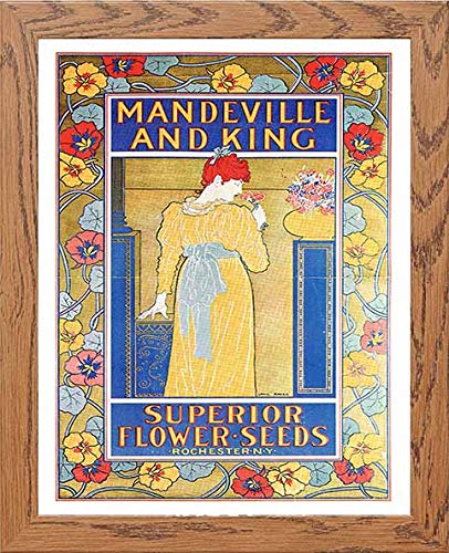 lumartos Vintage Poster Mandeville And King Superior Flower Seeds – Wood Fra – Framed Wall Art Print by Lumartos Premium Home Décor